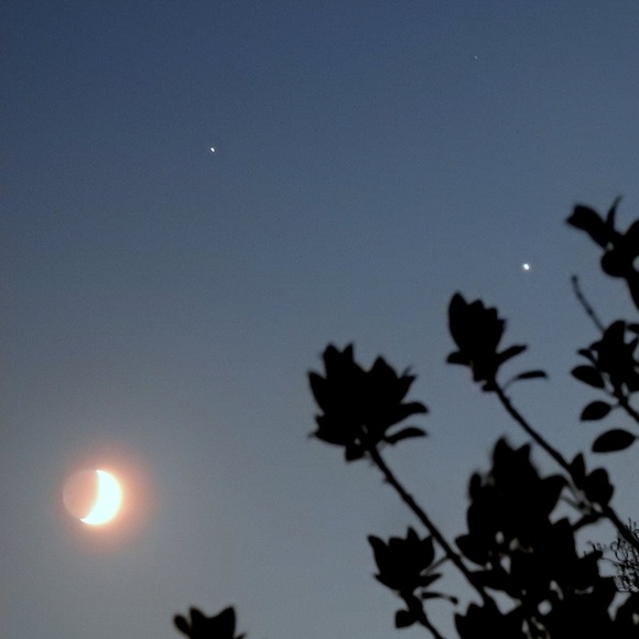 Meet your Posher, Rayo - Picture 1 of 1